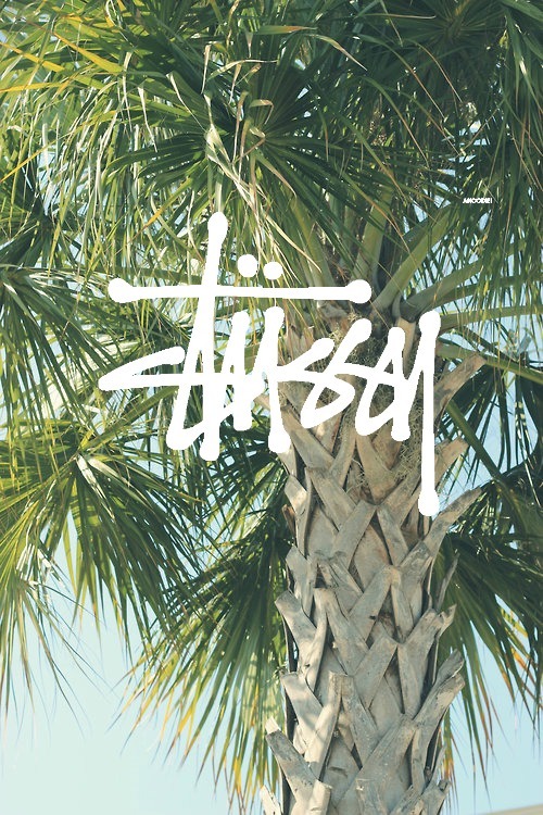 T a i j a s a ૐ