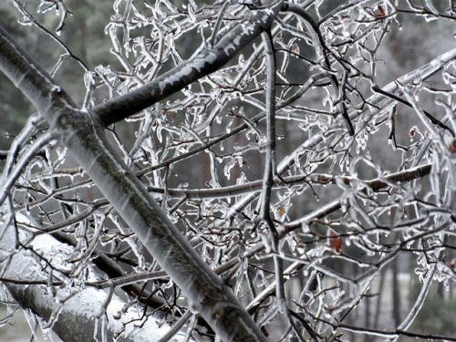 Ice Storm 04/15/2018