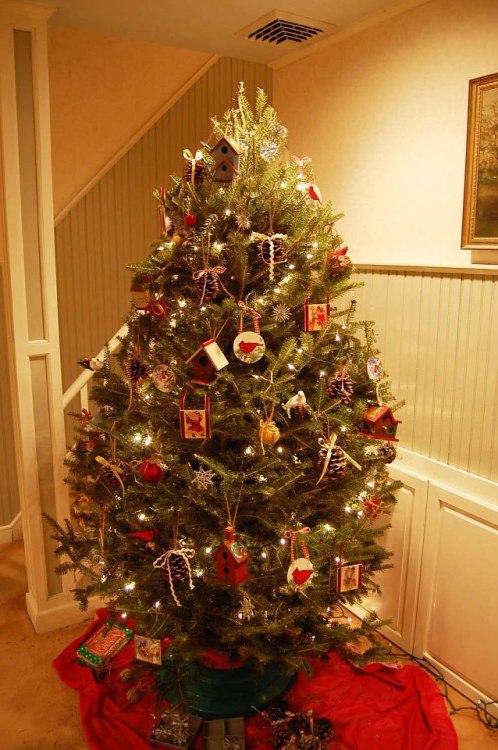 hatterandahare:  So my parents decided they didnt want the same old tree we do every year, when we break out my mom’s impressive collection of antique ornaments and hope the cat has outgrown his kittenish ways of breaking the low lying balls.  This