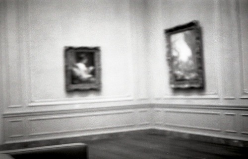 samera-flowers:National Gallery of Art // 35mm 