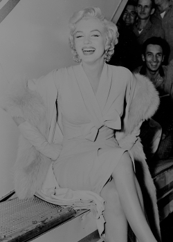 normajeaned:   Marilyn Monroe photographed in 1954.  