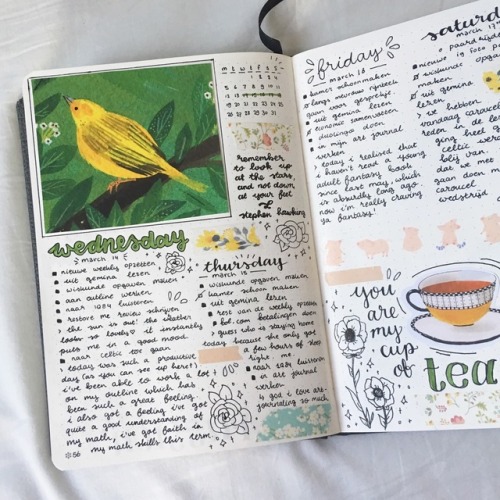 dotted-mochi:incorporating as much spring vibes in my spreads because the weather clearly isn’t sh