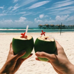 summer bliss