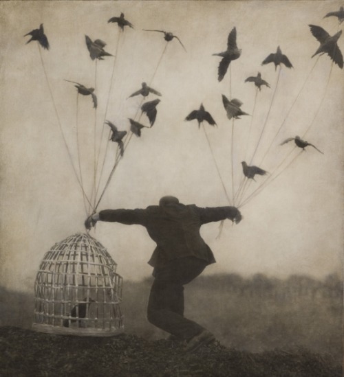 ex0skeletal:  (via A Shattering World in Photos by Robert and Shana ParkeHarrison | Hi-Fructose Magazine)