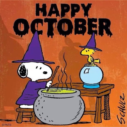 michyv69:  October has arrived! Downhill from here! #Halloween #October #snoopy