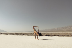 caciazoo:  Death Valley Cacia Zoo by Dan