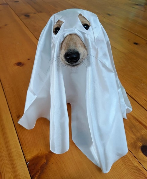 “Who you gunna call?? Let this be a hint to our special Halloween episode coming out soon! &rd