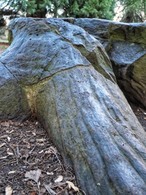 Prehistoric Fossilised Tree Stump, Sheffield Botanical Gardens, Sheffield, Yorkshire 