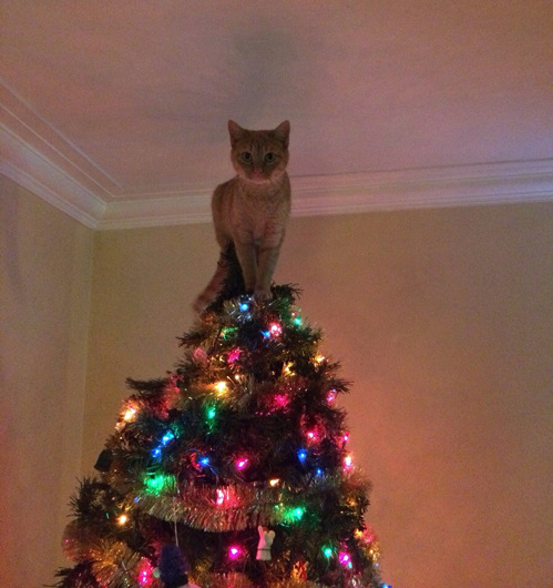 tastefullyoffensive:  “No need to put a star on top of the tree now..” [via] 