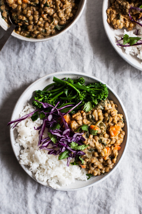 creamy coconut curried green lentils