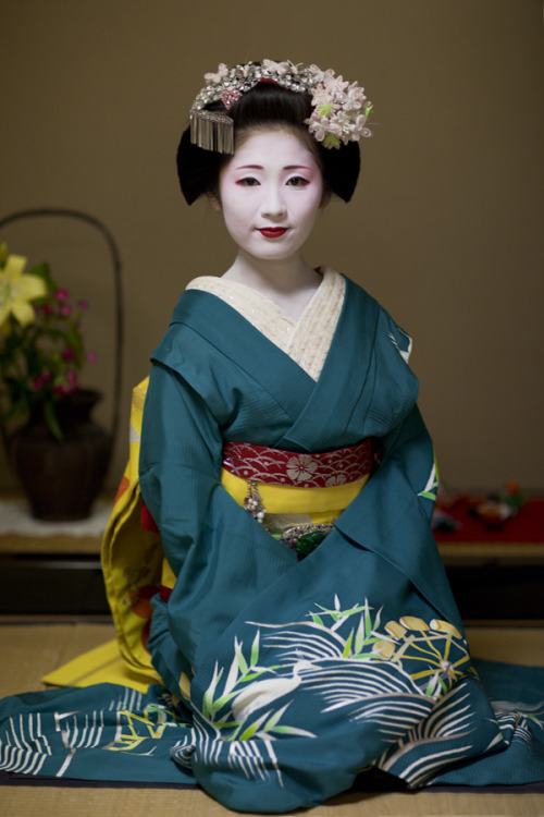 This usumono coordinate owned by Tsurui okiya (Gion Kobu) is for senior maiko, and has been worn by 