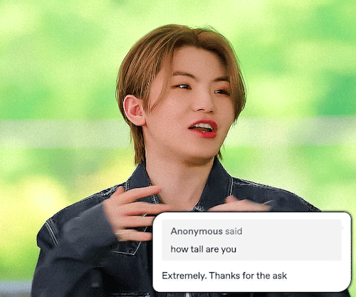 Seventeen As Tumblr Text Posts [2/?]
