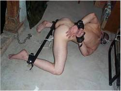 mastersbdsmstash:  One of my favorite subs in one of my favorite positions. I have to assume these get snagged from my recon profile and blogged. This is an especially harsh predicament bondage position - I suppose that’s why it makes me so hard. I