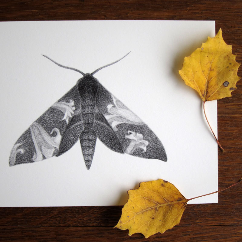 sosuperawesome:  Zoe Tilley Poster on Etsy 