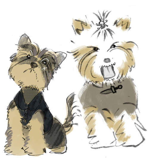 I would love to see Izzy get turned into a small yappy dog