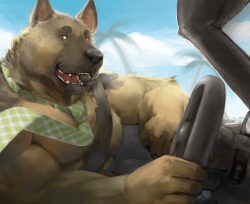 ralphthefeline:German Shepherd is driving