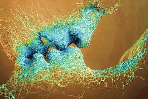 wonderinboutlove:  unablunter:  La anatomía nerviosa de un beso &lt;3.   Bicentenario. 