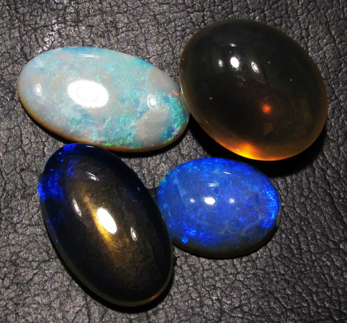 opalauction: Black and Crystal opals from Lightning ridge Australia  which is you favorite