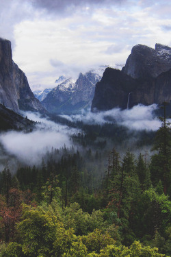 calms:  wnderlst:  Yosemite National Park, California | kaori  ● vintage &amp; indie blog ● 