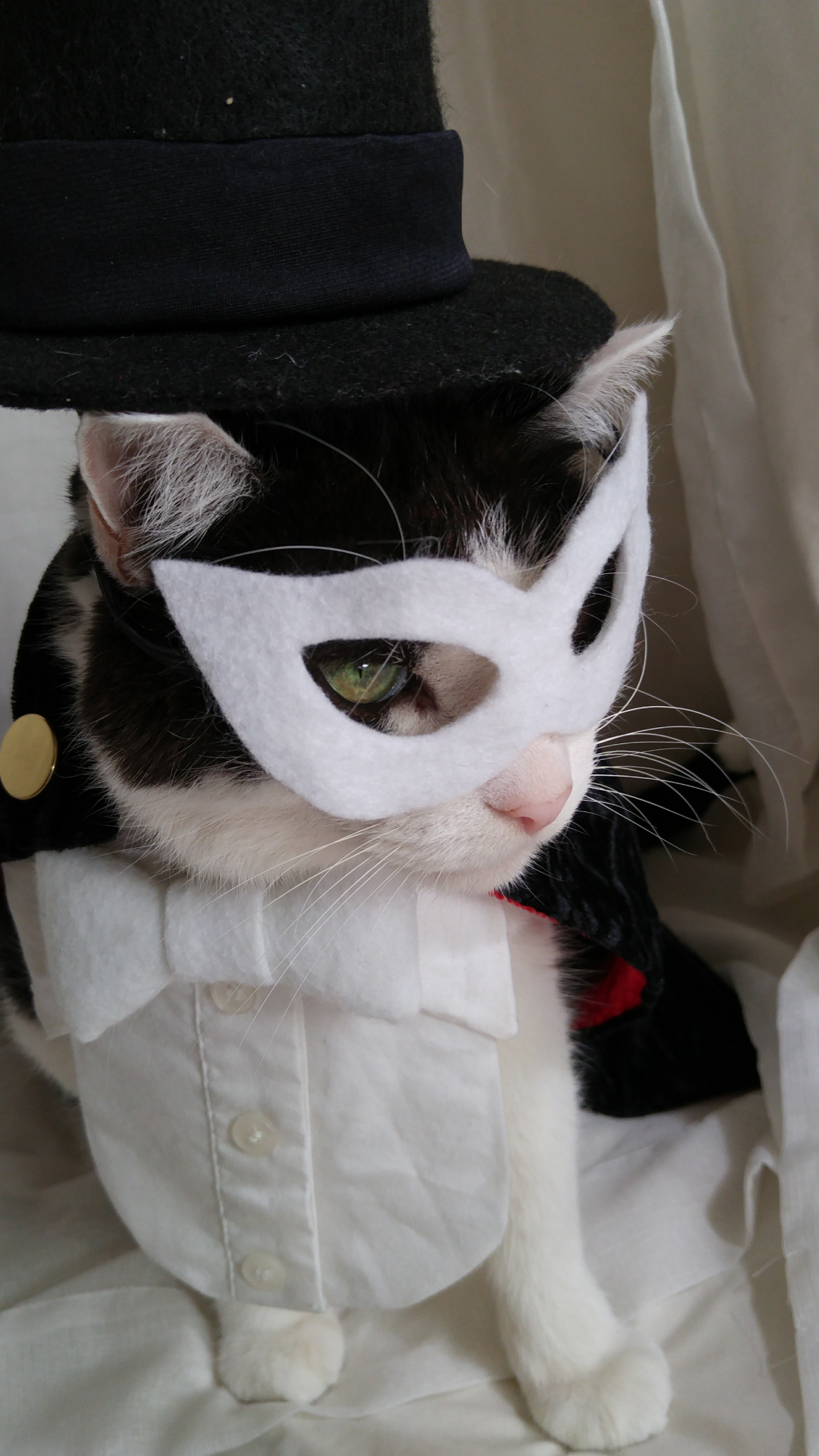 timeywimeyjedi:  I finally finished Cosmo’s Tuxedo Mask costume! 💗🎩🐈🌹💗