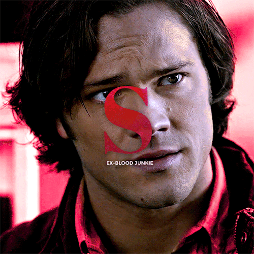 Team Free Will. One Ex-blood Junkie, One Dropout With Six Bucks To His Name, And Mr. Comatose Over There.