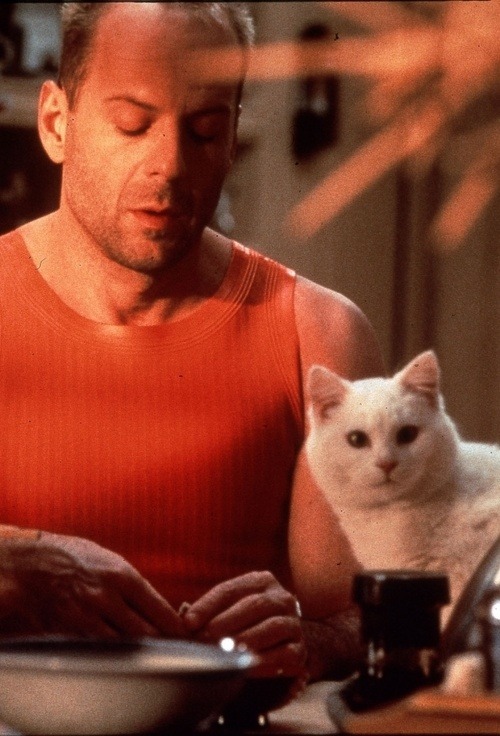 Bruce Willis and that cute cross-eyed cat from The Fifth Element 