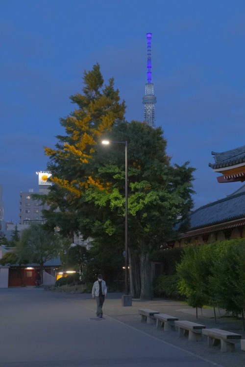 消えた夜のざわめき   The Night Buzz Disappeared：2020 Tokyo(at Asakusa )MASATOSHI SAKAMOTO : PHOTOGRAPHS