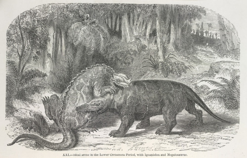 One of my favorite things is to look at old dinosaur art from the 19th Century, like these from “Ear