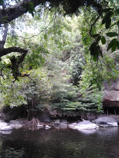Visited Khaoyai for the 3rd times this year. This year is very dry, the waterfall ran slow, but stil