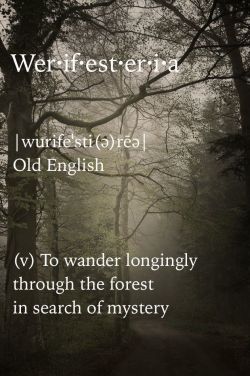 vdem1:  the-hanging-garden:  Werifesteria