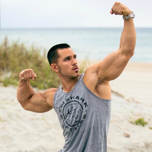MUSCLE