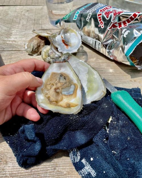 Learned how to shuck oysters today. Now I’m unstoppable. (at Glidden Point Oyster Farms) https