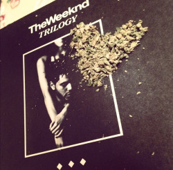davidmight69her:  † CLICK HERE & Follow This DOPE Blog