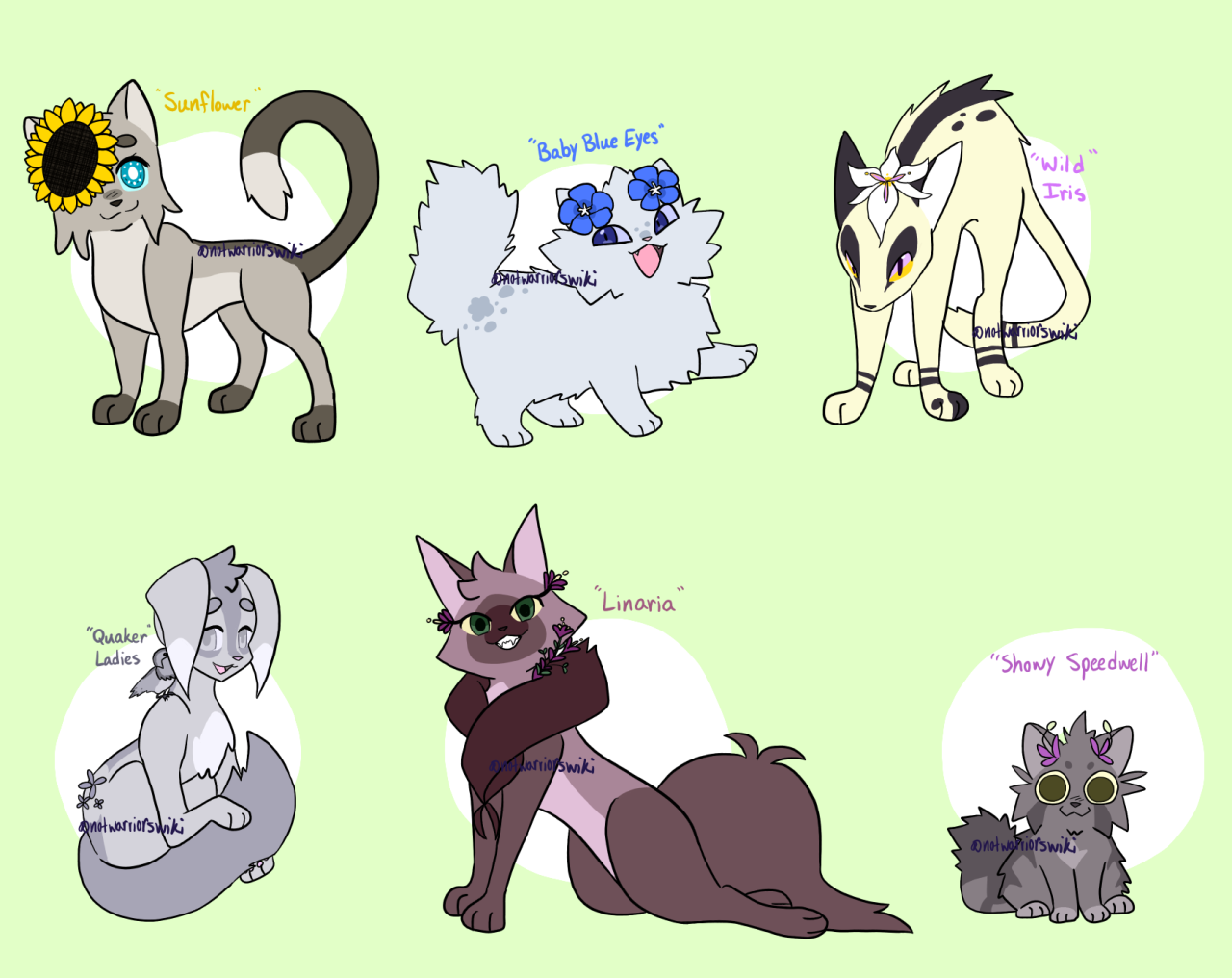 Warrior Cat Names for Charicters/to Draw