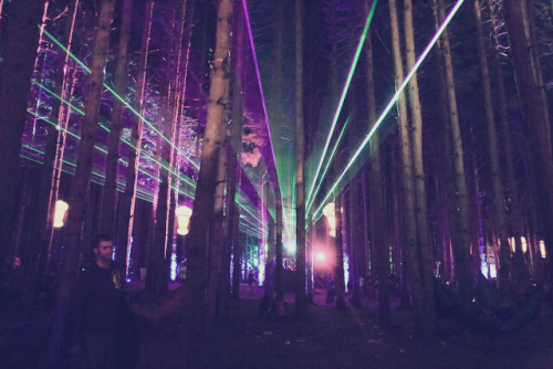 pvrplehaz3:Lazers through the forest.