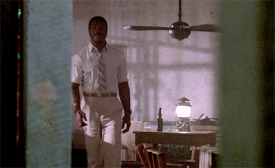 tumblr_pf4ya2G4aK1x0bvwko2_400.gifv