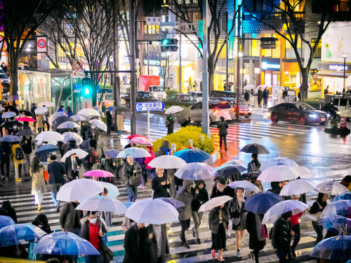 tokyo-fashion:  Rainy night in Harajuku last adult photos