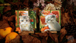 saralucasi:  Meredith and Olivia taylorswift; autumnal cats Two 10 x 10 cm acrylic paintings on canvas board. (diptych) SOCIETY6 | DEVIANTART 