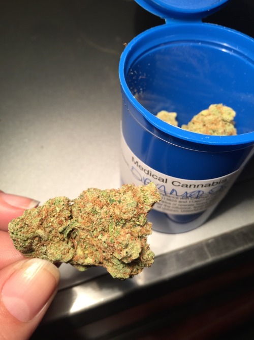 veraisastoner:  Obama OG