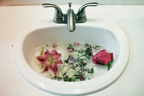 sinkling:spring 6/6 by Rachel Dowda on Flickr.