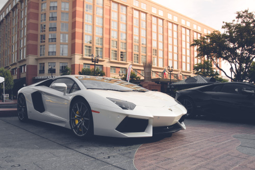 zaubererr:  Aventador