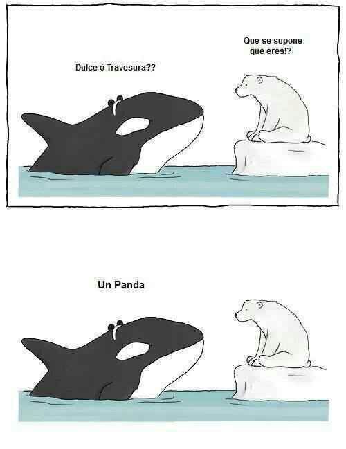 Adicta a los libros.