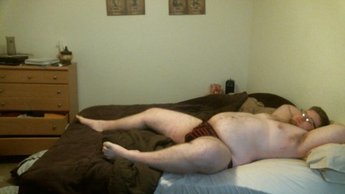 jaison96:  joshthebullpup:  Cant get comfy today, need someone to cuddle with, anyone want to crawl in? Also laying down tummy tuesday     I’m available!!!!