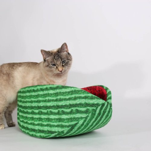 littlealienproducts:“Watermelon” Cat Bed //TheCatBall