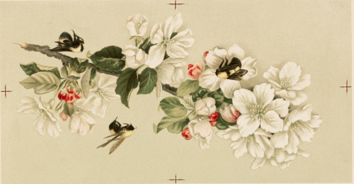 florealegiardini:Apple-blossoms and bees &amp; Cherry blossoms and bees, c. 1886. Olive E. Whitney 