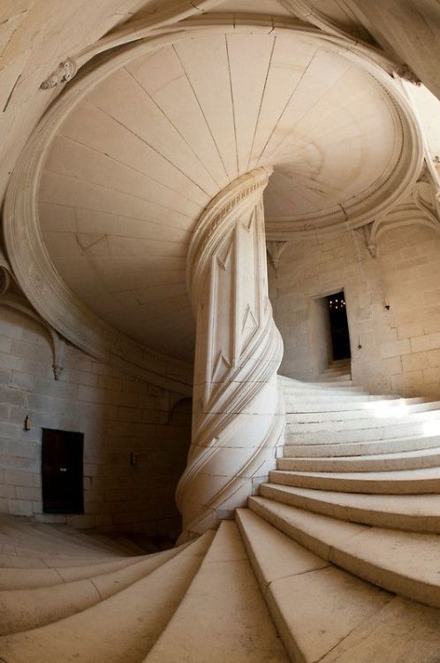 mynocturnality:  Spiral stairway designed by Leonardo Da Vinci, Chambord Chateau in France.