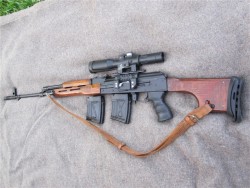 gunrunnerhell:  PSL A PSL rifle with a squared