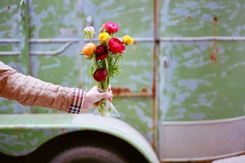 Flowers for AlexandraLeica M6 / Kodak Portra 400 FilmLexington, Kentucky