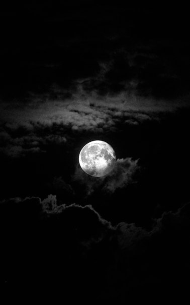 thequeenofnightlyrics:  thequeenofnightlyrics 