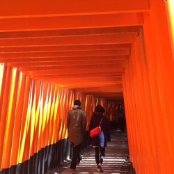 Visitkyoto:  #Fushimi #Fushimiinari #Senbontorii #伏見稲荷大社 #稲荷#京都#Travelgram